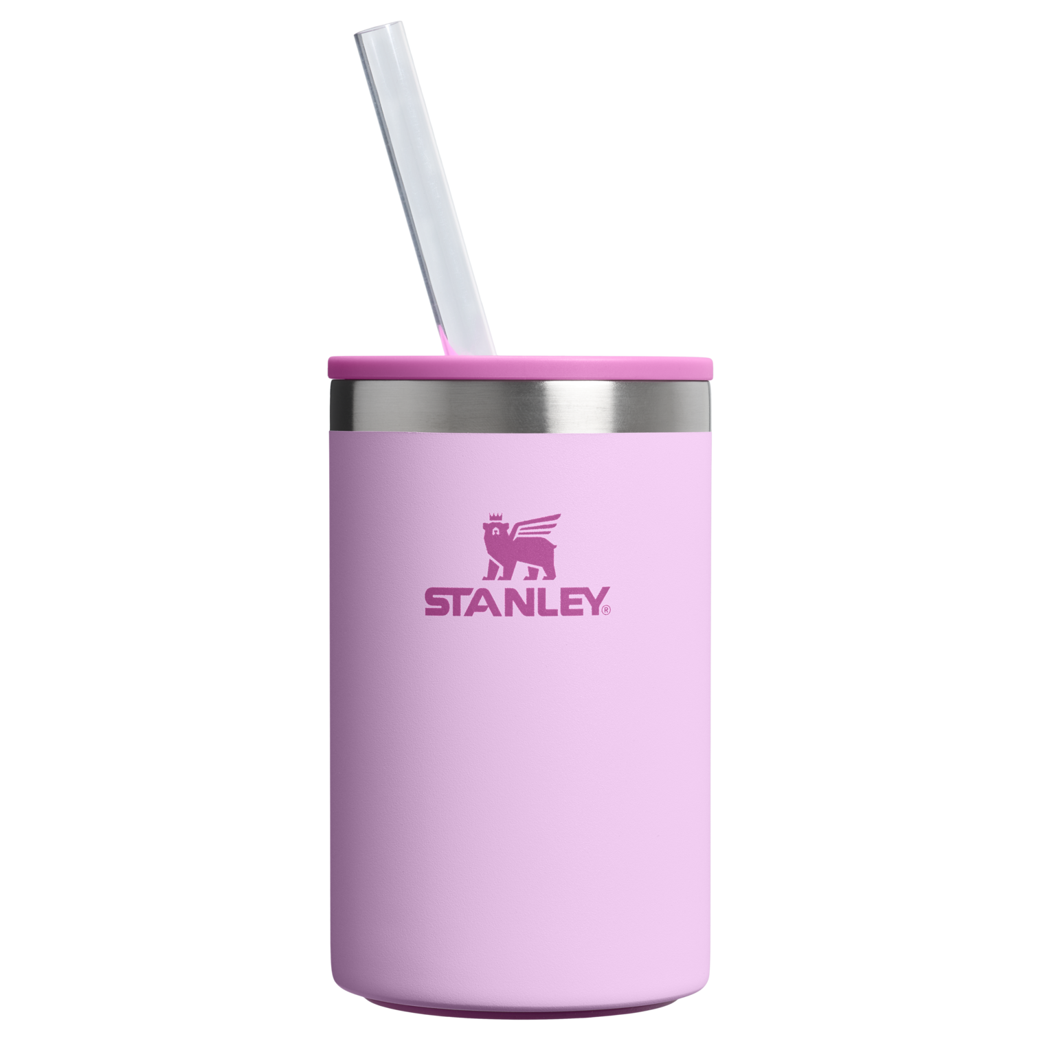 The Everyday Can Cooler Cup